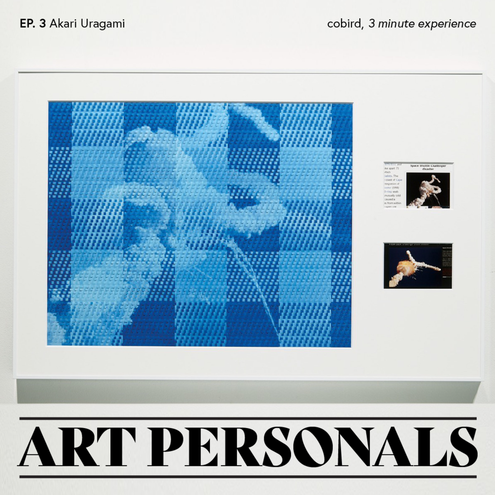 Akari Uragami Describes Cobird