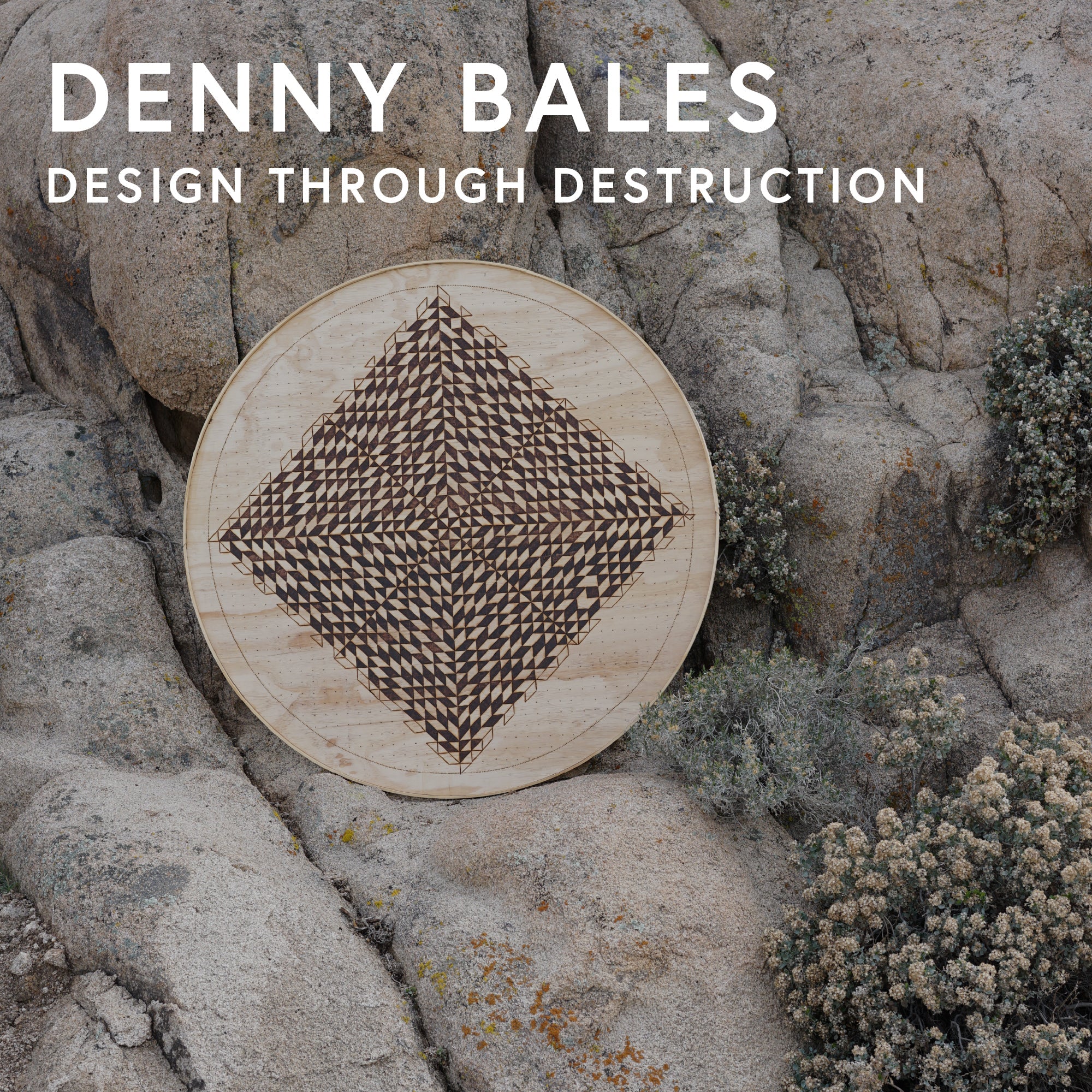 Denny Bales · Design Through Destruction