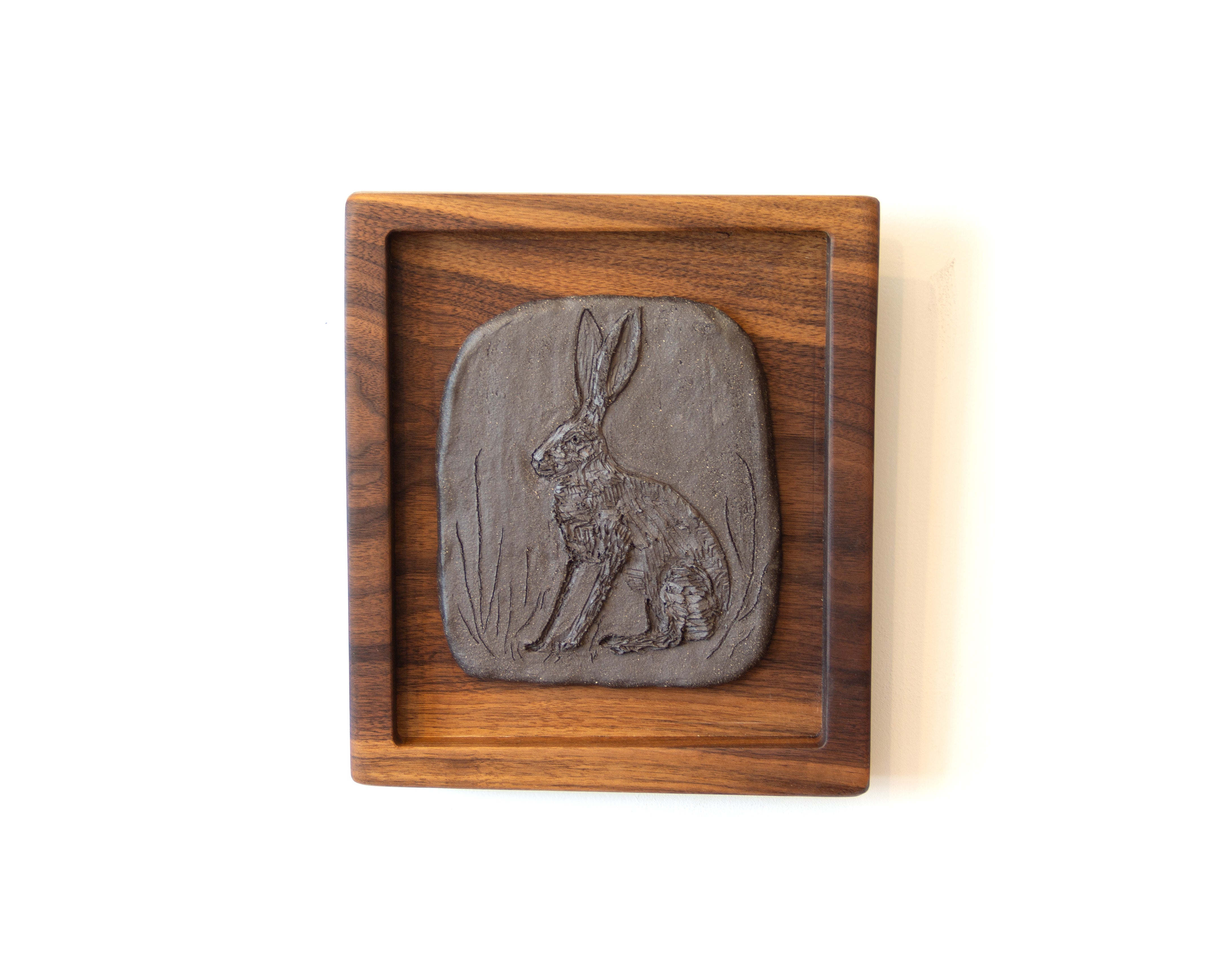 desert hare