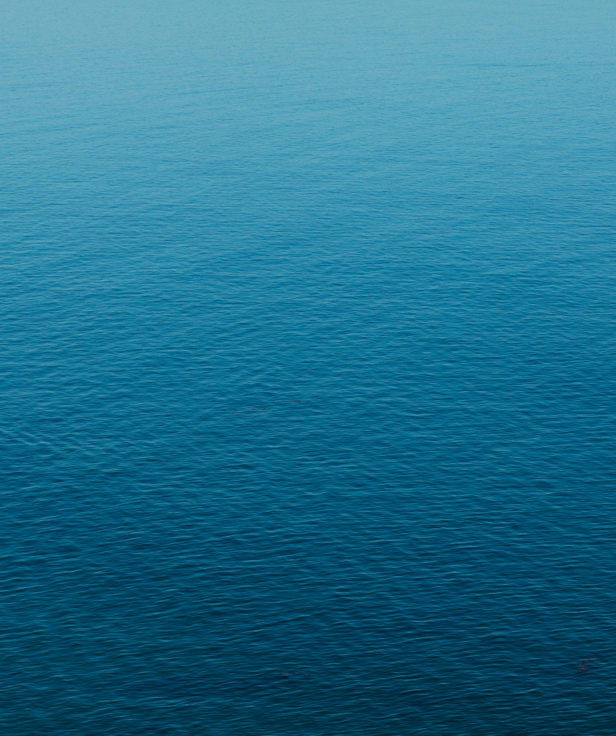 Untroubled Brine Diptych - Untroubled Brine Giclée Print