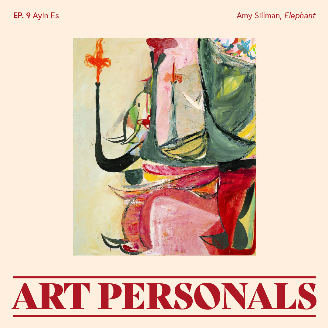 Ayin Es Describes Amy Sillman