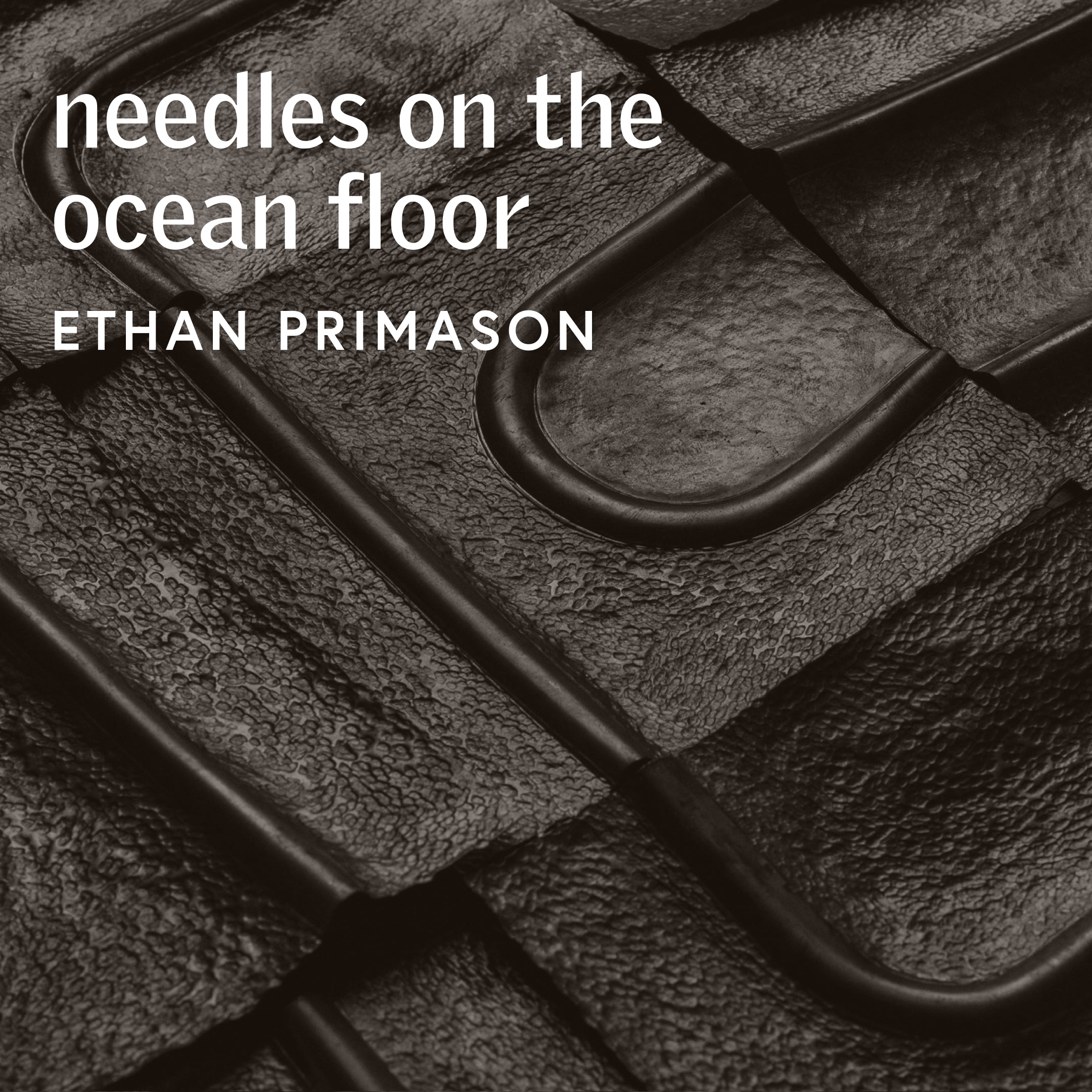 Ethan Primason · needles on the ocean floor